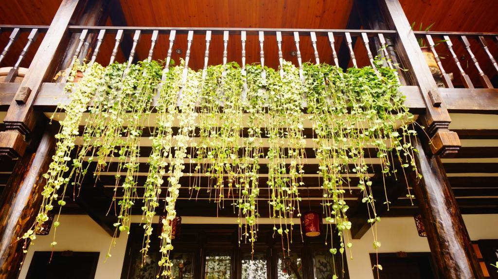 Lijiang Wangjia Courtyard Inn Экстерьер фото